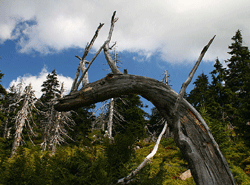 Riesengebirge
